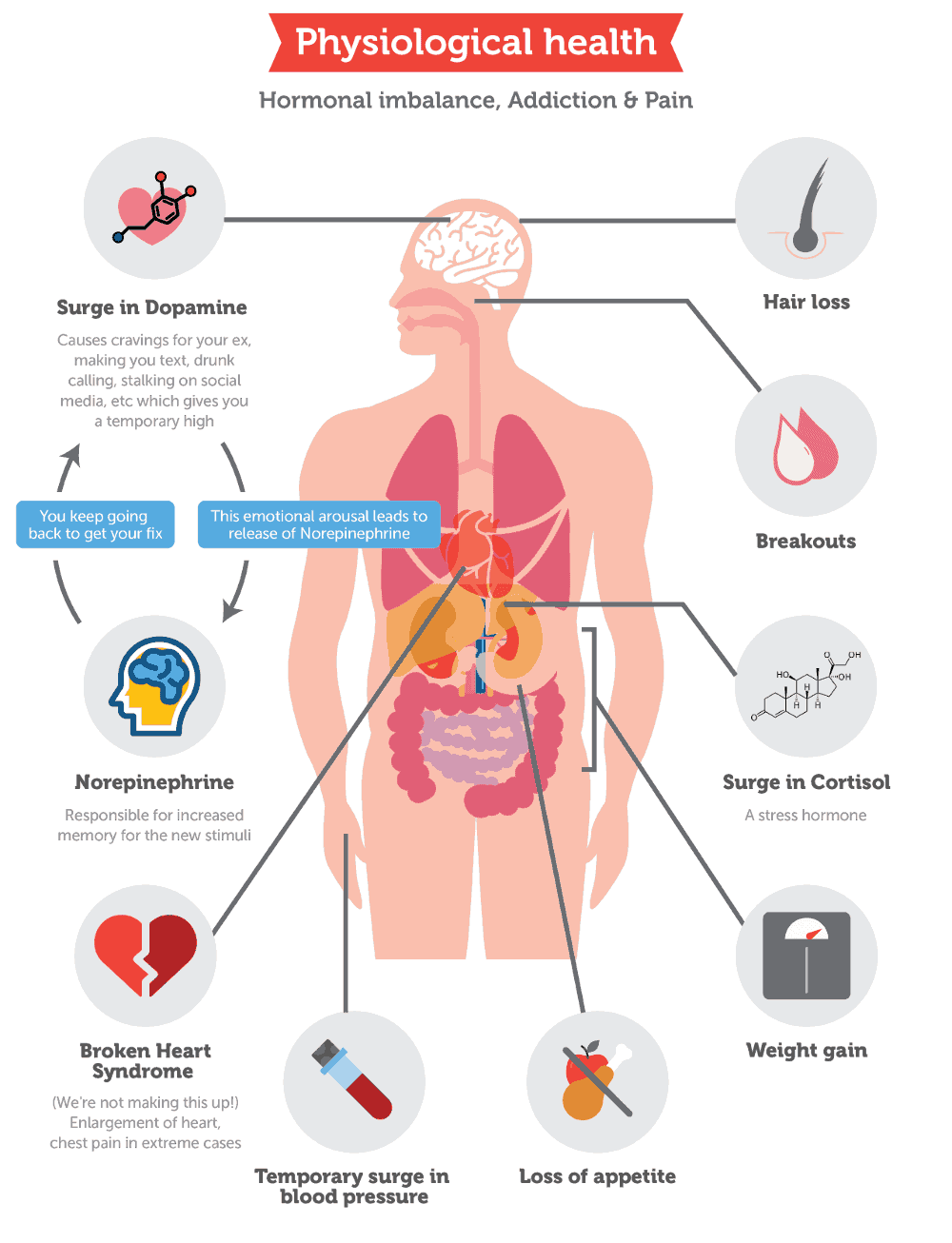 Changes to physiological health after a breakup
